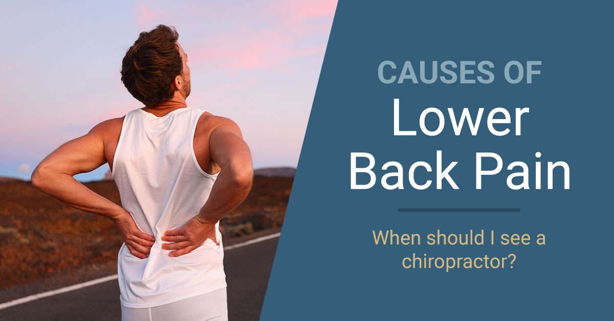 What Are The Causes of Lumbar Flank Pain - Chiropractic Blog