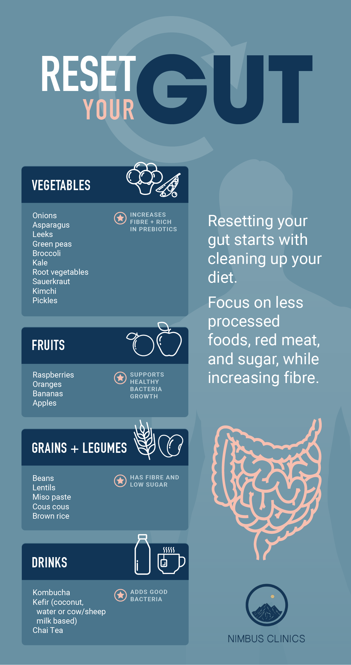 Reset Your Gut [Infographic] - Nimbus Clinics